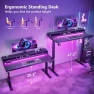 Thumbnail Gaming Standing Desk with LED Light — Standing Desk, OffiGo