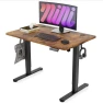 Thumbnail Large Standing Desk with Dual Monitor Setup — Standing Desk, Monomi