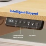 Thumbnail 4-Leg Standing Desk with Storage — Standing Desk, FLEXISPOT