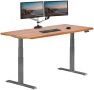 Thumbnail Adjustable Electric Standing Desk — Standing Desk, Vari