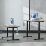 Thumbnail Dual Motor Electric Standing Desk Frame 3 Tier Legs Height Adjustable Handset with USB A+C Ports — Standing Desk, Fromann
