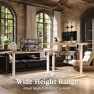 Thumbnail Electric Standing Desk — Standing Desk, Monomi