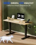 Thumbnail Solid Wood Standing Desk — Standing Desk, FLEXISPOT