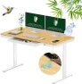 Thumbnail 55" Bamboo Standing Desk, Dual Motor 3 Stages Adjustable Height Electric Computer Workstation with Wireless Charging,... — Standing Desk, FLEXISPOT