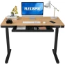 Thumbnail 55" Bamboo Standing Desk, Dual Motor 3 Stages Adjustable Height Electric Computer Workstation with Wireless Charging,... — Standing Desk, FLEXISPOT