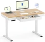 Thumbnail 55" Bamboo Standing Desk, Dual Motor 3 Stages Adjustable Height Electric Computer Workstation with Wireless Charging,... — Standing Desk, FLEXISPOT