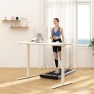 Thumbnail Dual Motor Electric Standing Desk 48 x 24 — Standing Desk, FLEXISPOT