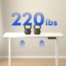 Thumbnail Dual Motor Electric Standing Desk 48 x 24 — Standing Desk, FLEXISPOT