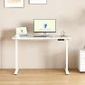 Thumbnail Dual Motor Electric Standing Desk 48 x 24 — Standing Desk, FLEXISPOT