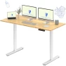Thumbnail Dual Motor Electric Standing Desk 48 x 24 — Standing Desk, FLEXISPOT