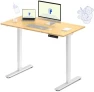 Thumbnail Dual Motor Electric Standing Desk 48 x 24 — Standing Desk, FLEXISPOT