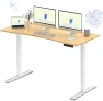 Thumbnail Dual Motor Electric Standing Desk 48 x 24 — Standing Desk, FLEXISPOT