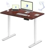 Thumbnail Dual Motor Electric Standing Desk 48 x 24 — Standing Desk, FLEXISPOT