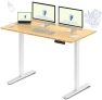Thumbnail Dual Motor Electric Standing Desk 48 x 24 — Standing Desk, FLEXISPOT