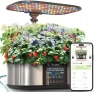 Thumbnail Hydroponics Growing System Kit — Indoor Garden, LETPOT