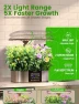 Thumbnail Hydroponics Growing System Kit — Indoor Garden, LETPOT