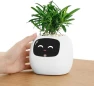 Thumbnail Ivy Interactive AI Desk Companion — Robot Pet, PLANTSIO