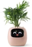 Thumbnail Ivy Interactive AI Desk Companion — Robot Pet, PLANTSIO