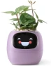 Thumbnail Ivy Interactive AI Desk Companion — Robot Pet, PLANTSIO