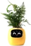 Thumbnail Ivy Interactive AI Desk Companion — Robot Pet, PLANTSIO