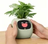 Thumbnail Ivy Interactive AI Desk Companion — Robot Pet, PLANTSIO
