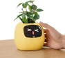 Thumbnail Ivy Interactive AI Desk Companion — Robot Pet, PLANTSIO