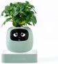 Thumbnail Ivy Interactive AI Desk Companion — Robot Pet, PLANTSIO