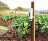 Thumbnail Soil Moisture Sensor with LCD Display and 1m PVC Wire Probe — Soil Moisture Sensor, ECOWITT