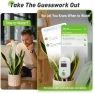 Thumbnail WiFi Solar Auto Watering System with Two Smart Digital Soil Sensors — Indoor Garden, RainPoint
