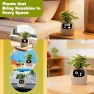 Thumbnail Smart Plant Pot with Visual Display — Soil Moisture Sensor, PLANTSIO