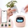 Thumbnail Smart Plant Pot with Visual Display — Soil Moisture Sensor, PLANTSIO