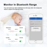Thumbnail Smart Thermometer Temperature and Humidity Monitor — Smart Thermometer, INKBIRD