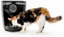 Thumbnail Feeder-Robot Smart Automatic Pet Feeder — Automatic Pet Feeder, Whisker