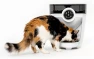 Thumbnail Feeder-Robot Smart Automatic Pet Feeder — Automatic Pet Feeder, Whisker