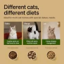 Thumbnail RFID Automatic Cat Feeder — Automatic Pet Feeder, PETLIBRO