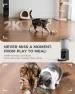 Thumbnail AI Automatic Cat Feeder with 2K HD Dual Cameras — Automatic Pet Feeder, PETOCAT