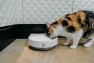 Thumbnail Automatic 5 Bowl Digital Timer-Controlled Pet Feeder — Automatic Pet Feeder, Cat Mate