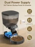 Thumbnail Automatic Cat Feeder and Water Fountain Set — Automatic Pet Feeder, CORGOTE