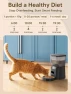 Thumbnail Automatic Cat Feeder and Water Fountain Set — Automatic Pet Feeder, CORGOTE
