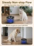 Thumbnail Automatic Cat Feeder and Water Fountain Set — Automatic Pet Feeder, CORGOTE