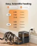 Thumbnail Automatic Cat Feeder for Large Kibble and Snacks, 12 Cups/3L Timed Pet Feeder for Cats Indoor, Programmable Dry Food... — Automatic Pet Feeder, oneisall