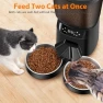 Thumbnail Automatic Cat Feeder for Two Cats — Automatic Pet Feeder, KATALICLAB