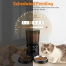 Thumbnail Automatic Cat Feeder for Two Cats — Automatic Pet Feeder, KATALICLAB