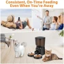 Thumbnail Automatic Cat Feeder for Two Cats — Automatic Pet Feeder, KATALICLAB