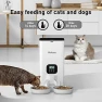 Thumbnail Automatic Cat Feeder for Two Cats — Automatic Pet Feeder, Voluas