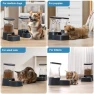 Thumbnail Automatic Dog Water Dispenser & Food Feeder Set — Automatic Pet Feeder, Gardner Pet