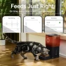 Thumbnail Automatic Pet Feeder with Camera — Automatic Pet Feeder, MOLLY&CODY