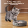 Thumbnail Automatic Wet Food Feeder with Four Meals Design — Automatic Pet Feeder, iPettie