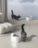 Thumbnail Cordless Cat Water Fountain with Motion Sensor — Cat Water Fountain, PETKIT