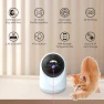 Thumbnail Indoor Pet Camera with Laser Toy — Automatic Cat Toy, VILLA ART